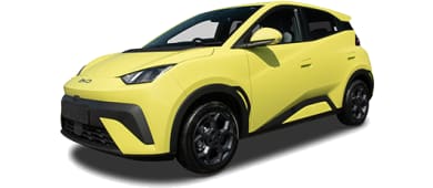 BYD Dolphin Surf Boost leasen - front angle - DirectLease